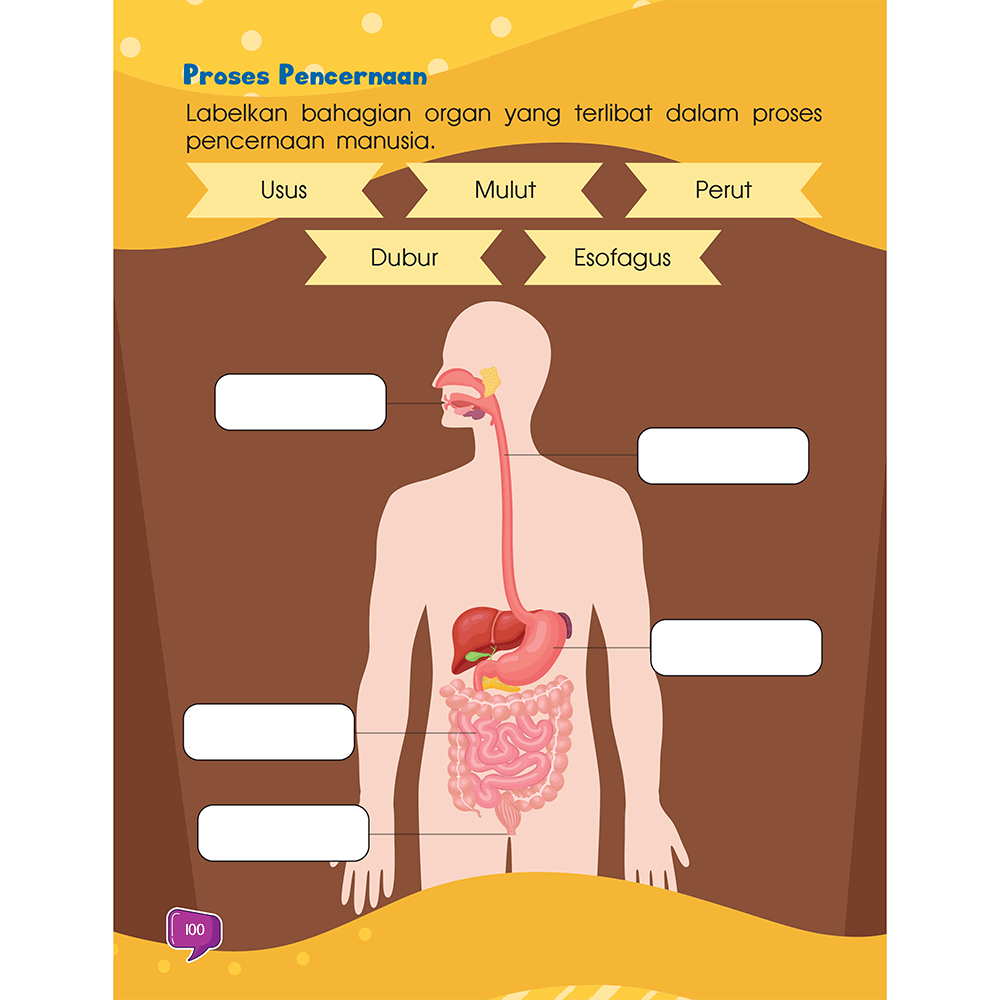 STEM: i-Genius TAHUN 3 (Siri 1) - aulad.my