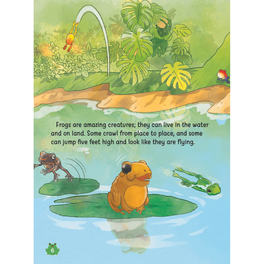 The Frog Orchestra in the Rain - aulad.my